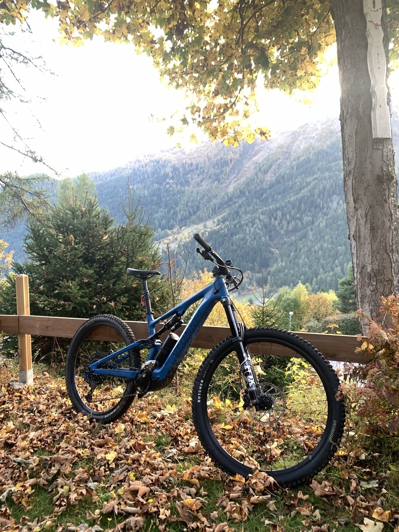 VTT électrique de couleur bleue, posée contre une barrière sur une pelouse, recouverte de feuilles au couleurs d’automne, avec une montagne à l’arrière plan. 