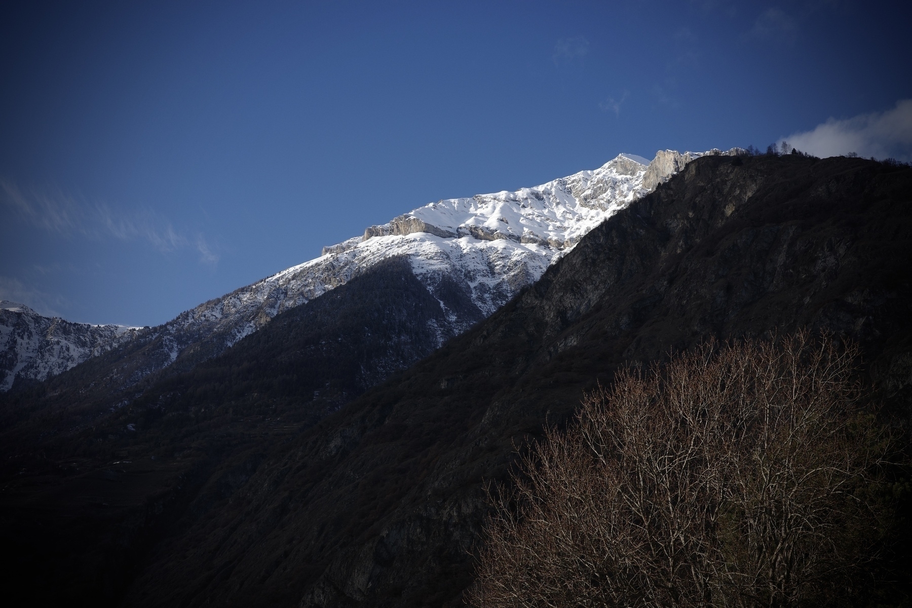 Une montagne enneigée se détache sur un ciel bleu, avec des arbres dénudés au premier plan.