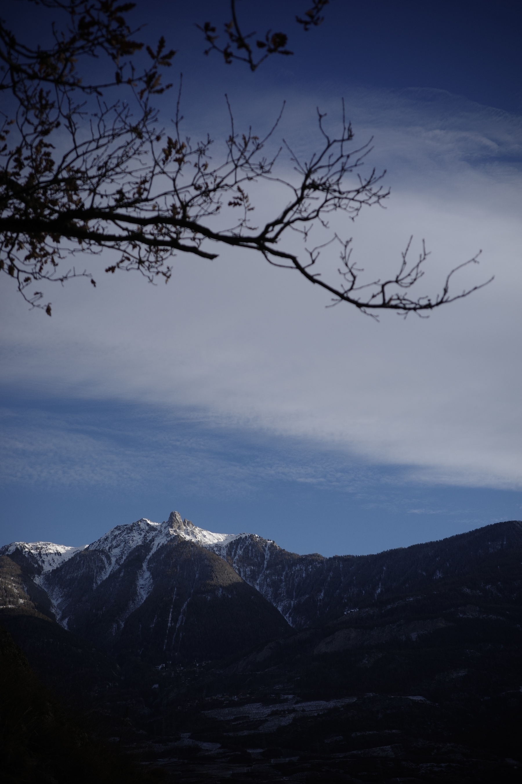 Montagnes enneigées sous un ciel bleu partiellement nuageux avec une branche d'arbre en silhouette au premier plan.